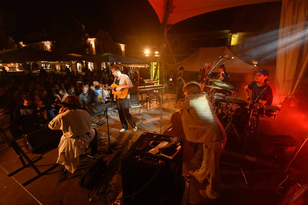 Buntspecht Buntspecht